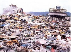 30年前の処分場