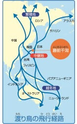 渡り鳥地図