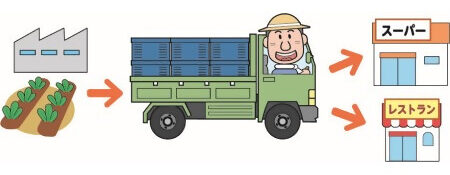 野菜出荷から販売の図